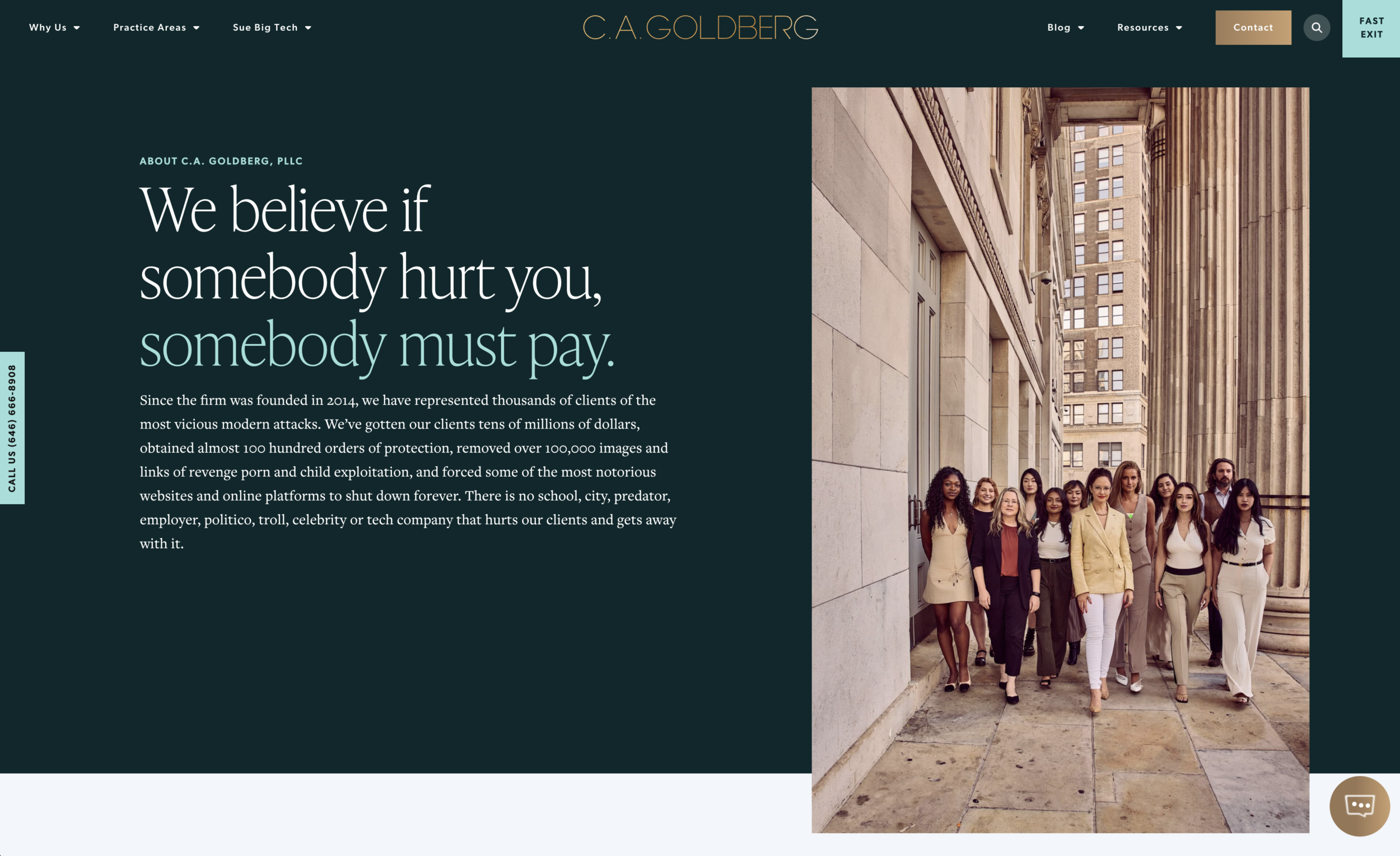 CA Goldberg Website